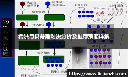 希洪与贝蒂斯对决分析及推荐策略详解